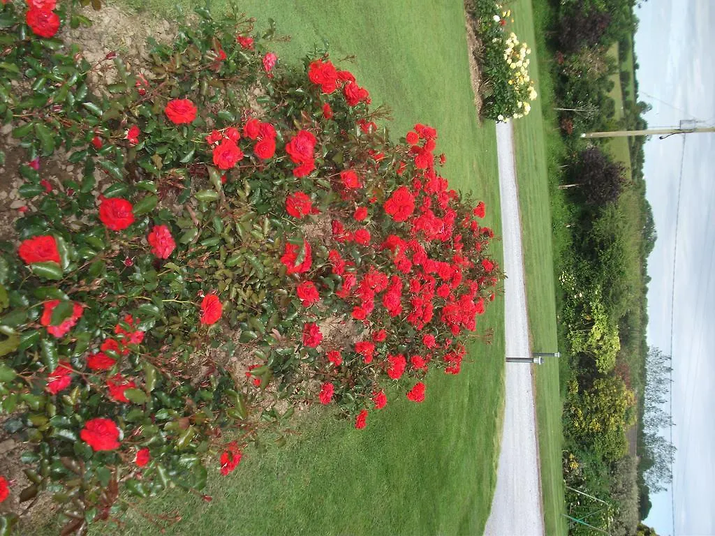 Insiara B&B Cork