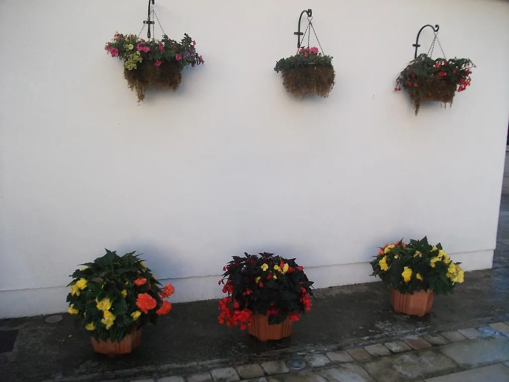 **** Nocleg ze śniadaniem Insiara B&B Cork Irlandia